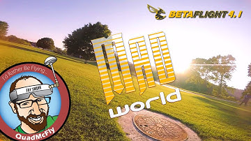 Mad World (Betaflight 4.1 RPM Filter, Bidirectional Dshot, Feed Forward 2, 10.6.0 Slider Tune)