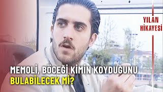 Memoli Arabasına Koyulan Böceği Buluyor - Yılan Hikayesi Özel 