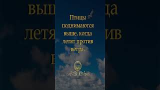 #мотивация #успех #саморазвитие #дисциплина #instarding #деньги #рост #развитие #смыслжизни