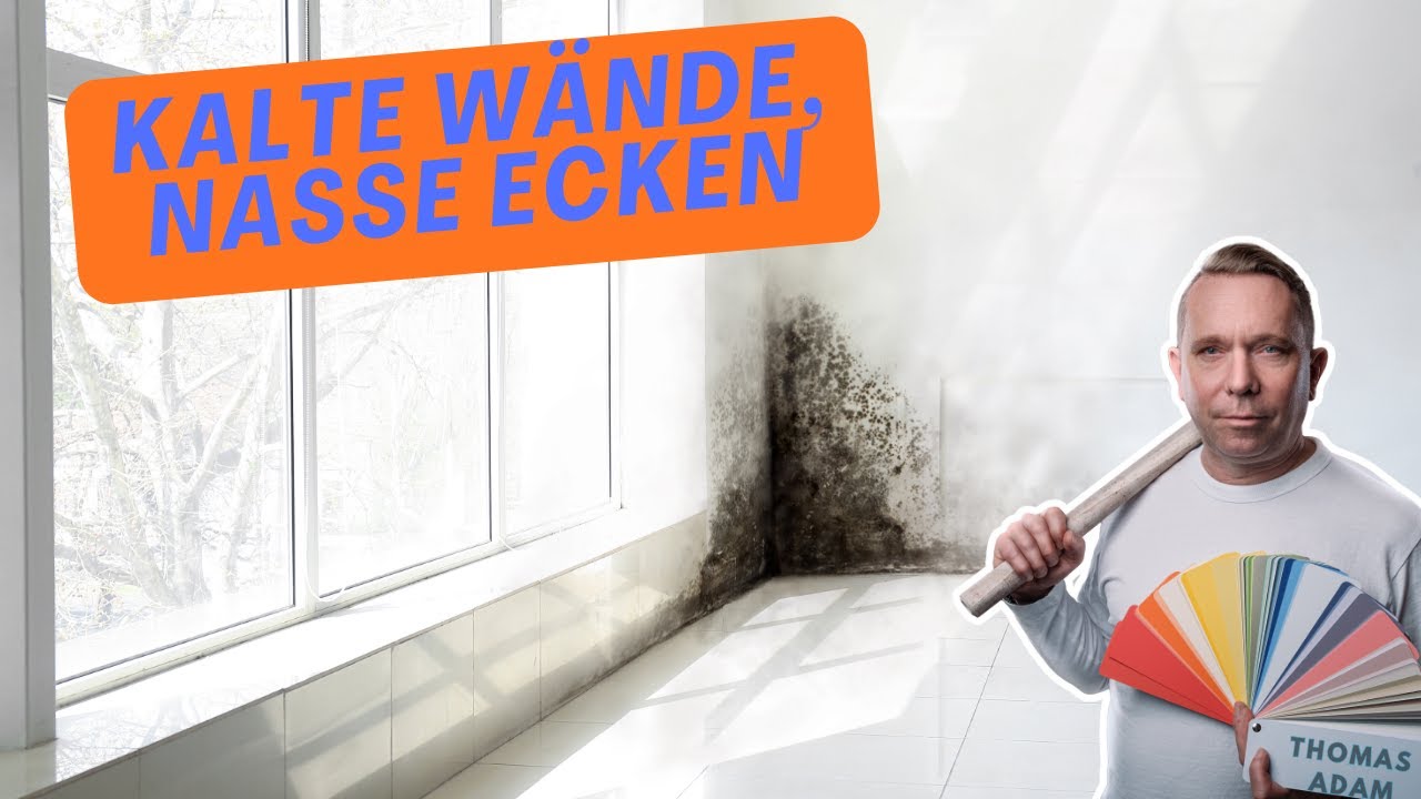 Heizkosten sparen oder Schimmel züchten? Der schmale Grat