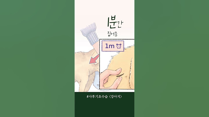 우리집 강아지가 죽는다면 가장 먼저 해야할 일 - 사후기초수습