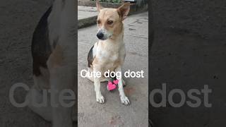dog didi ka love #dog #pets #doggielife #doggielife #dogshorts #funny #puppy #dogsworld #doggie #dog