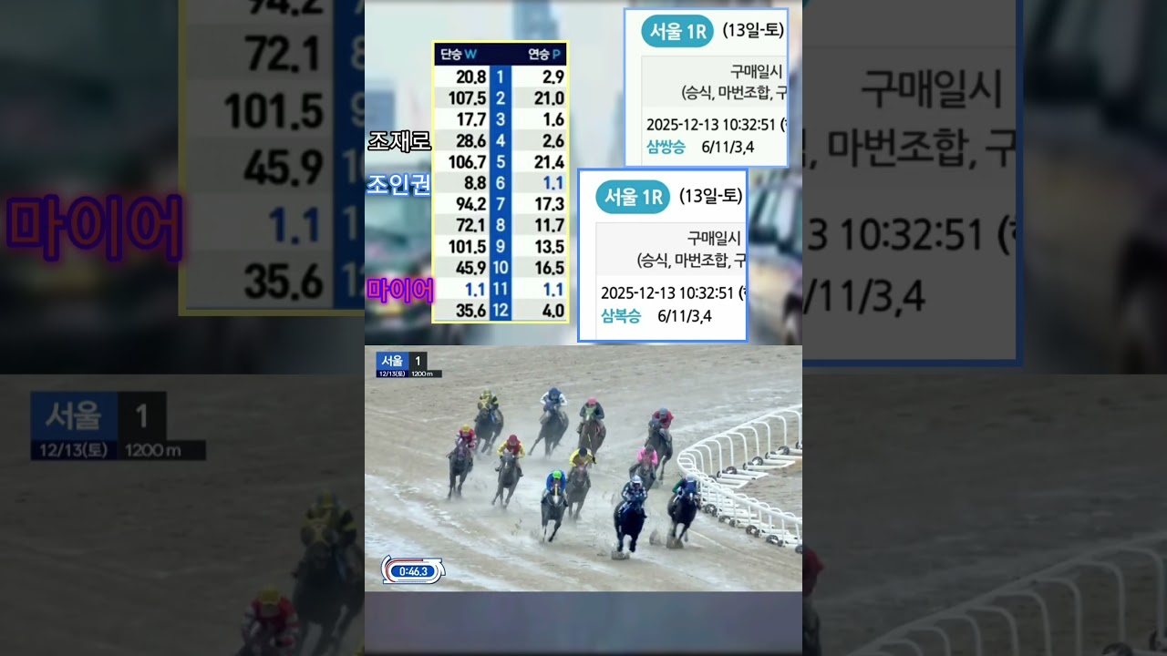 [경마] 판단 미스 !
