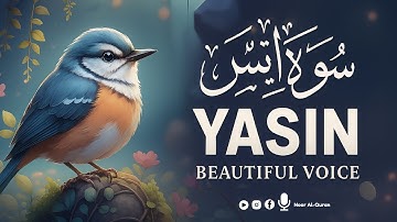 Surah Yasin (Yaseen) for Healing | Relieve Stress, Depression & Anxiety | سورة يس | Noor Al-Quran