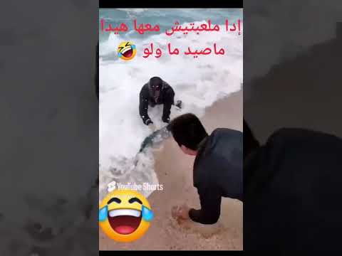 صيد السمك في الجزائر سمك الدوراد يغزو الشواطئ الجزائرية 2025     