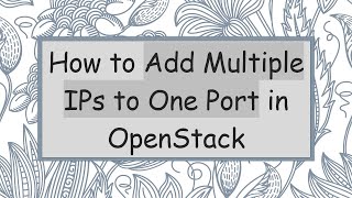 How to Add Multiple IPs to One Port in OpenStack
