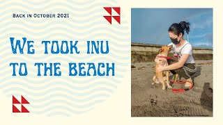 WE TOOK INU TO THE BEACH by Scholastic Secrets 9 views 2 years ago 4 minutes, 4 seconds