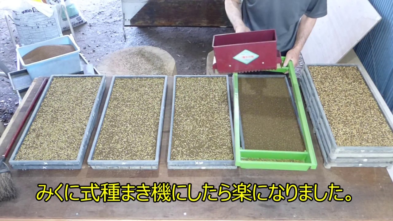 種蒔きを、みくに式種蒔き機にしたら作業が楽になりました