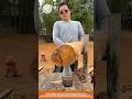 Effortless Log Splitting with a Screw Cone Splitter!