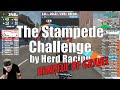 The Stampede Challenge by Herd Racing
