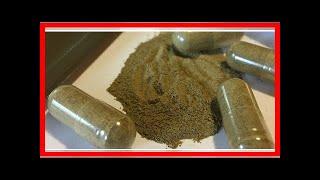 Breaking News | Webb: Cara Beckerle wouldn't have been arrested for kratom if she lived in Kentucky