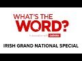 What's The Word? Irish Grand National 2019 Special