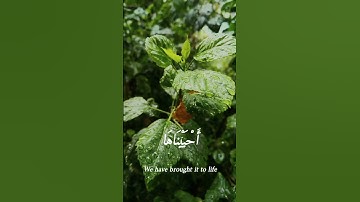 استغفر الله العظيم واتوب اليه🤲🏻🥀✨️.   #تلاوات #القرآن_الكريم #تلاوات #اكسبلور #خشوع