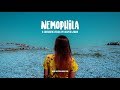 Nemophila  a cinematic visual by jasper lawan