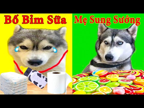 Thú Cưng TV | Ngáo Và Ngơ #29 | chó thông minh vui nhộn | Pets funny cute smart dog