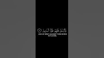 سورة الفيل القارئ اسلام صبحي #الفريق_اسئلة_والغاز  #رسول_الله #رسول_الله_صلى_الله_عليه_وسلم #قرآن