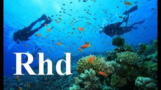 Carnivores of the Coral Garden  Nature Sea,  2018 HD Documentary.