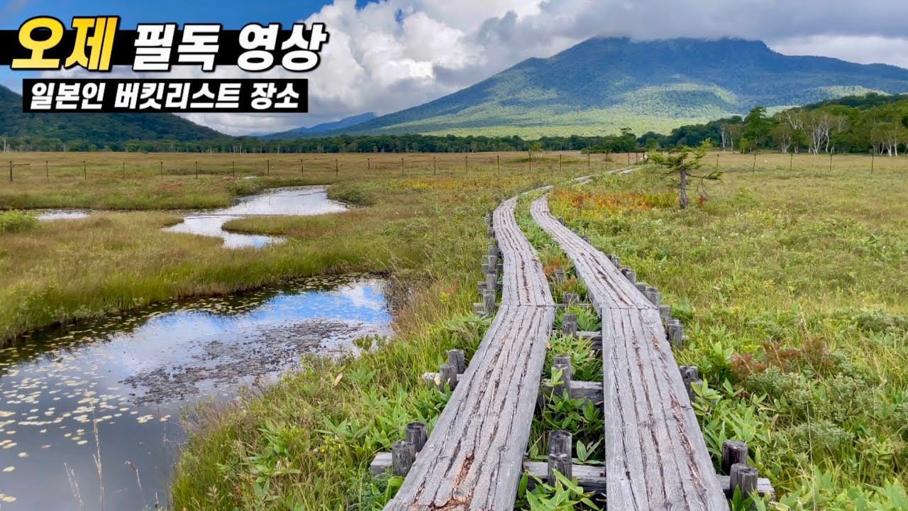 꼭 가봐야 할 일본 여행지 오제(오제가하라, 오제누마)ㅣ尾瀬1泊2日モデルコース(尾瀬ヶ原、尾瀬沼)