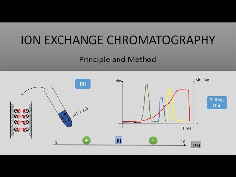 The Principle Of Ion Exchange Chromatography, A Full Explanation