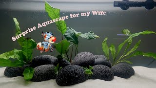 Building an Aquascape for my Wife