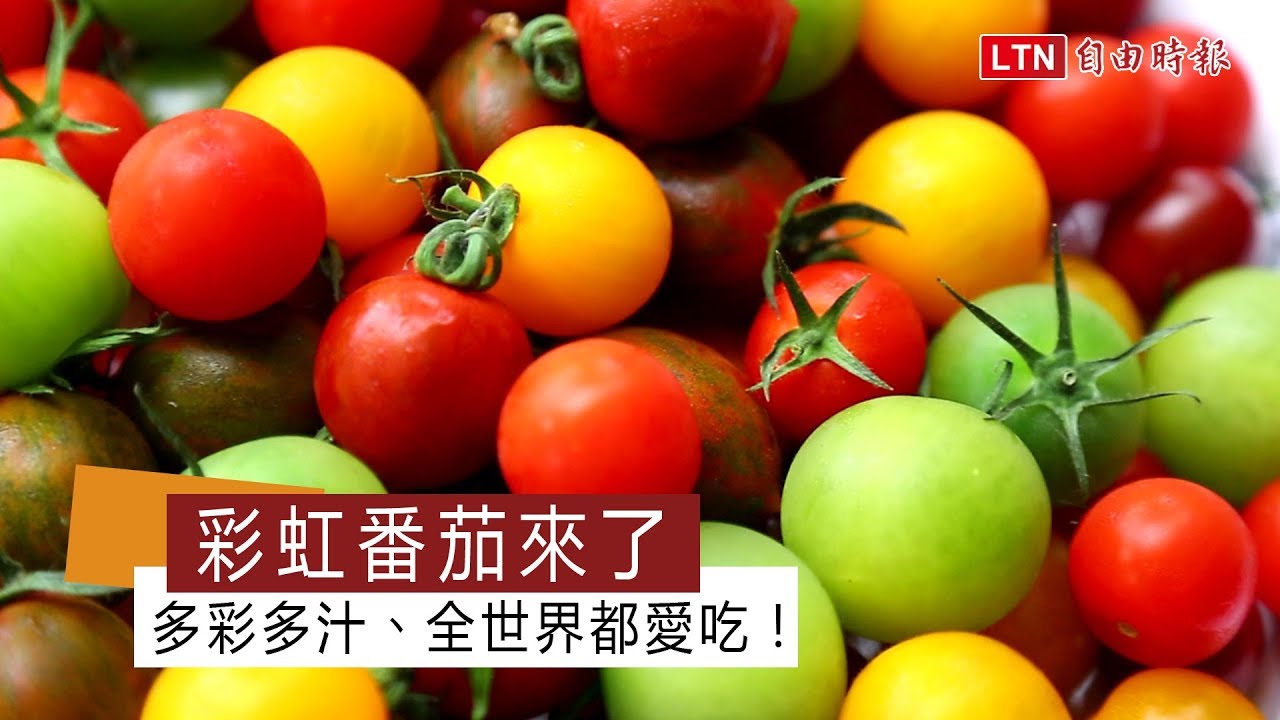 好物市集 果物美學 無毒溫室彩虹番茄禮盒組