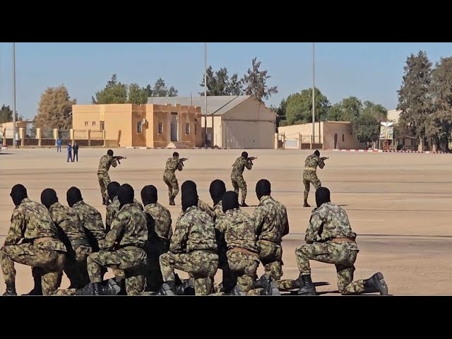 ⁣أقوى إستعراض للقوة الرماة المطاريون الجزائريون الجيش الوطني الشعبي الجزائري