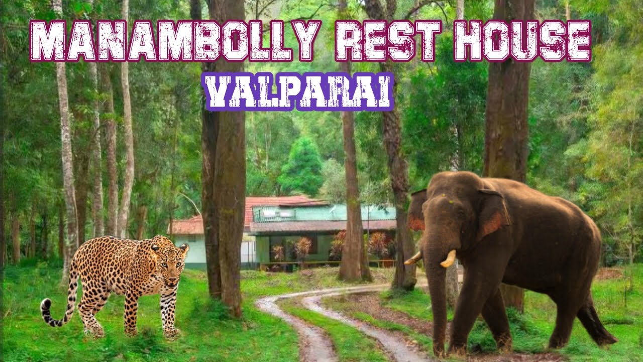 🦣🐆Most Adventurous Night Stay at Manambolly Rest House 😱 | Jolly Trip
