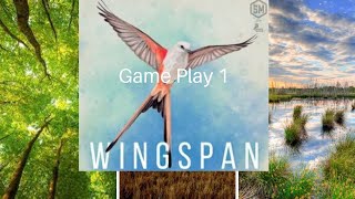 Wingspan: Game Play 1