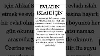 Ahkaf Suresi: Çocukların Islahı ve Dua 🤲🏻
