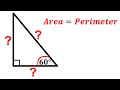 Can you find all the side lengths of the triangle  special triangle math maths  geometry