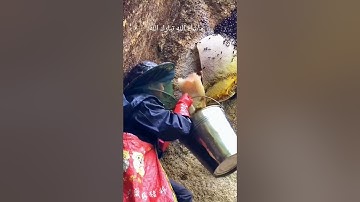 #القران {سورة النحل} واوحي  ربك الى النحل: #الحرم_المكي الشيخ ياسر الدوسري #اكسبلور