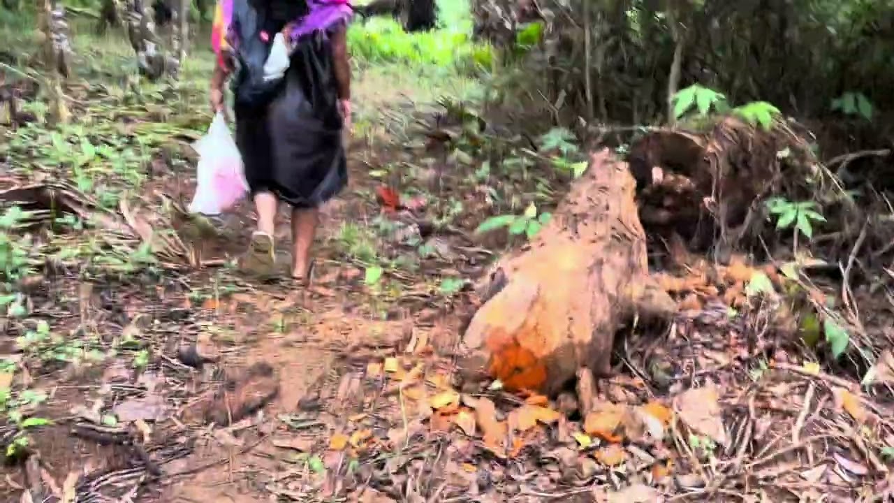 Acheman chok Aii kewe fasoun me chuuk 💗💗 