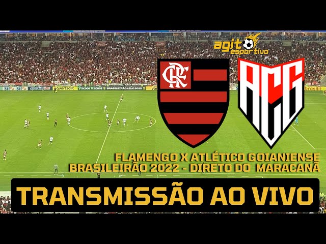 Na onda da Copa do Mundo, Flamengo, Santos, Avaí e Atlético-GO lançam  figurinhas de NFT para jogo online