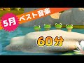 Japanese Children's Songs - Best of May - ５月のベスト