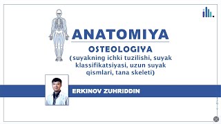 Anatomiya l Osteologiya l Kirish