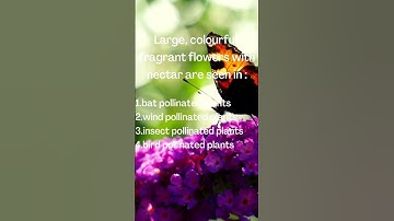 Biology #shorts #neet