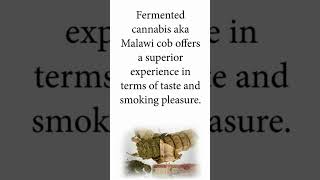 Do you know? Malawi Cob| Kashmir420| Kashmir Rolling Papers #MalawiCob #FermentedCannabis #usa