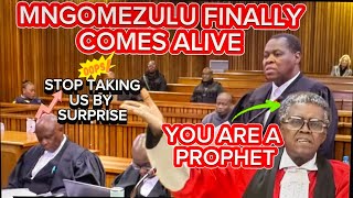 ADVOCATE MNGOMEZULU EXPOSES STATE'S LACK OF TRANSPARENCY! MUST WATCH!