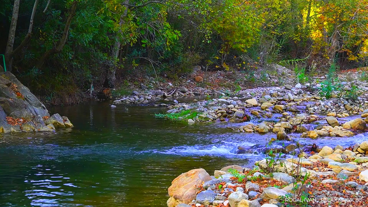 Видео со звуками природы. Релаксация звуки природы река вода пение птиц. Sounds of nature.