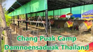 Chang Puak Camp Damnoen Saduak Thailand Elephant Ride Thai Cultural Adventure