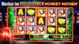 Merkur im VOLLALARM!🚨Brandneues MONKEY MAYHEM & MULTI WILD POWERSPINS!🔥KRANKER ERFOLG!