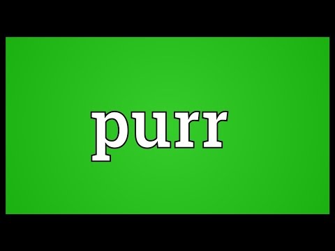 Purr Meaning