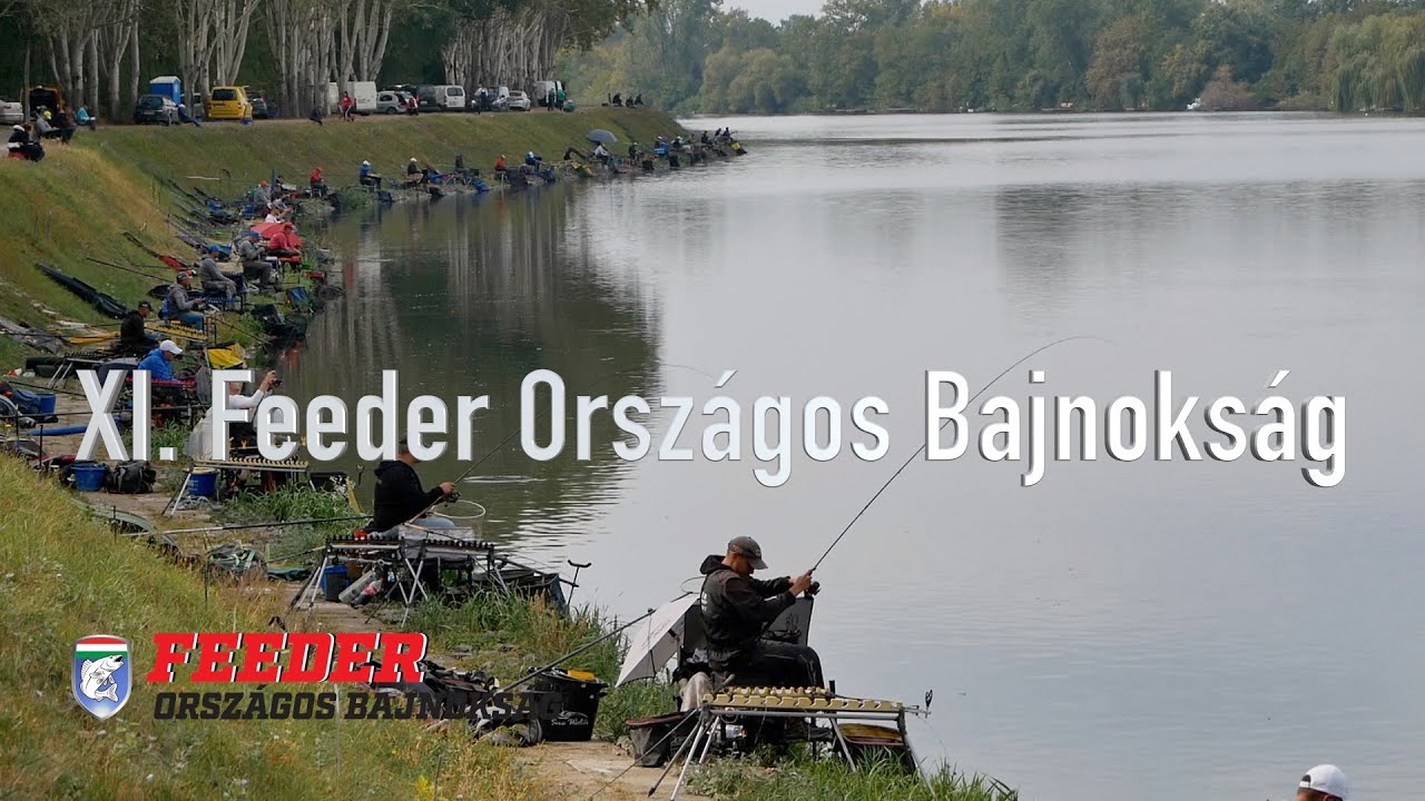 XI.  Feeder Országos Bajnokság