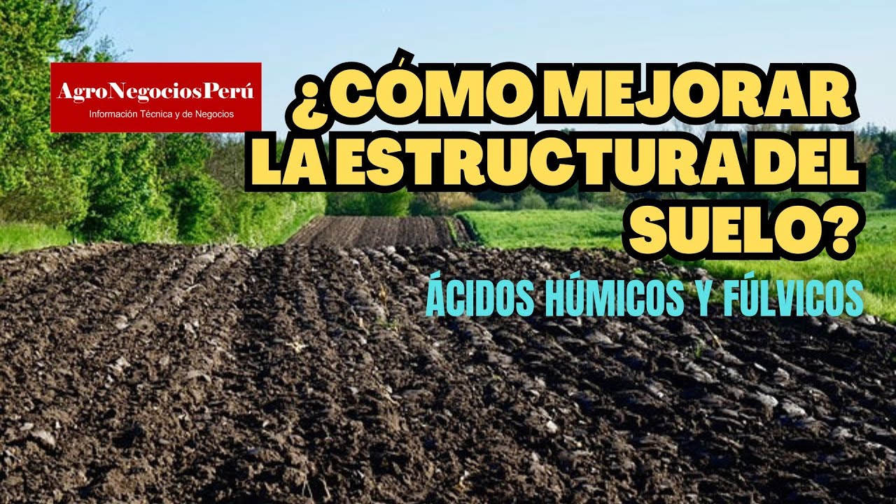 Ácidos húmicos mejoran la estructura del suelo y favorecen el desarrollo de raíces| CODIHUMIC 15
