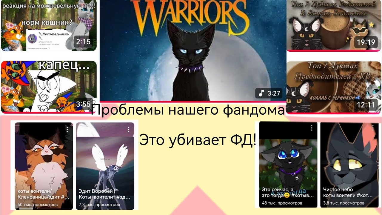 Какой контент не стоит снимать? Что не так с фандомом? #Шиповница #возродимРуКв 