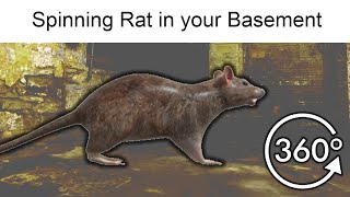 POV: There is a High Quality Spinning Rat in your basement