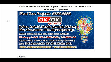 A Multi Scale Feature Attention Approach to Network Traffic Classification and Its Model Explanation