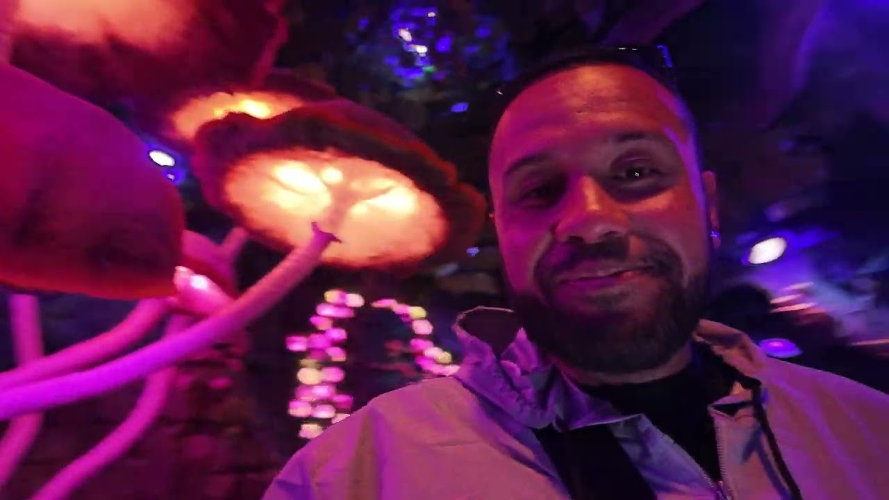 Dreamwalk Park Walkthrough in Orem, Utah (3/1/2025)