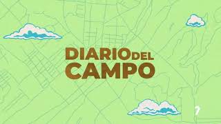 ¡Descubre el Superalimento Kale y las Aromáticas de Murcia con La Huerta de los Sentidos!