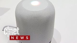 Apple delays HomePod until 2018 (CNET News)